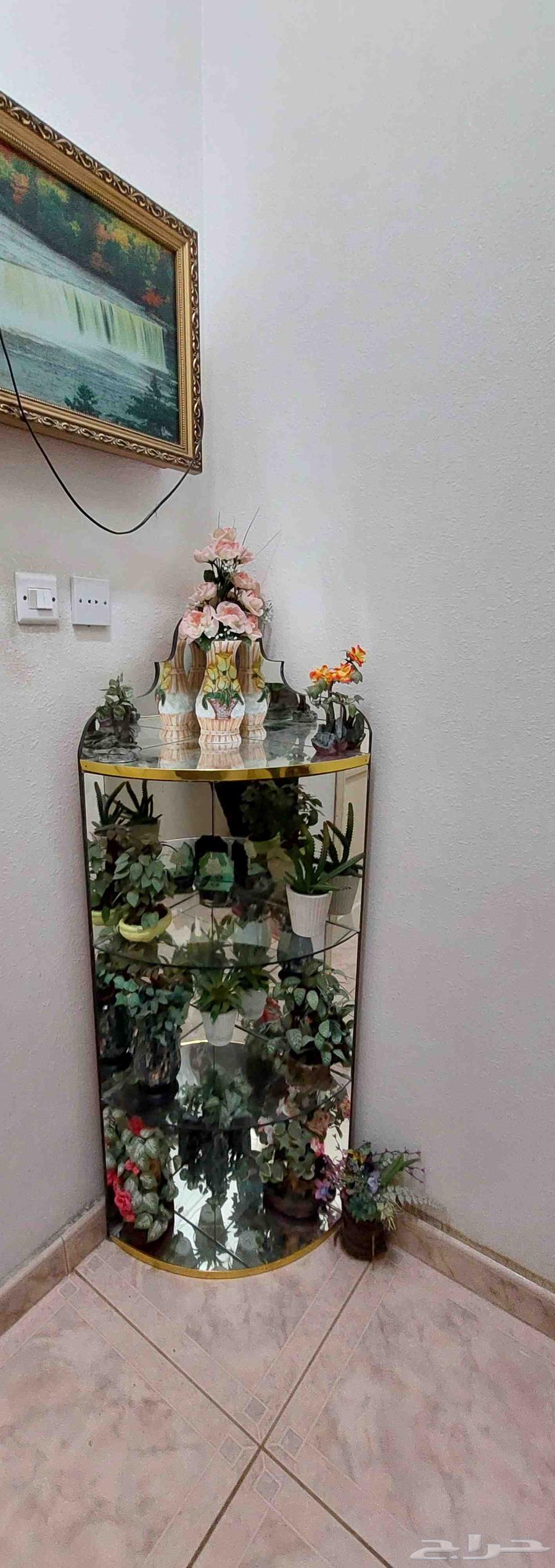 زاوية زجاجية ديكور64369513552131110