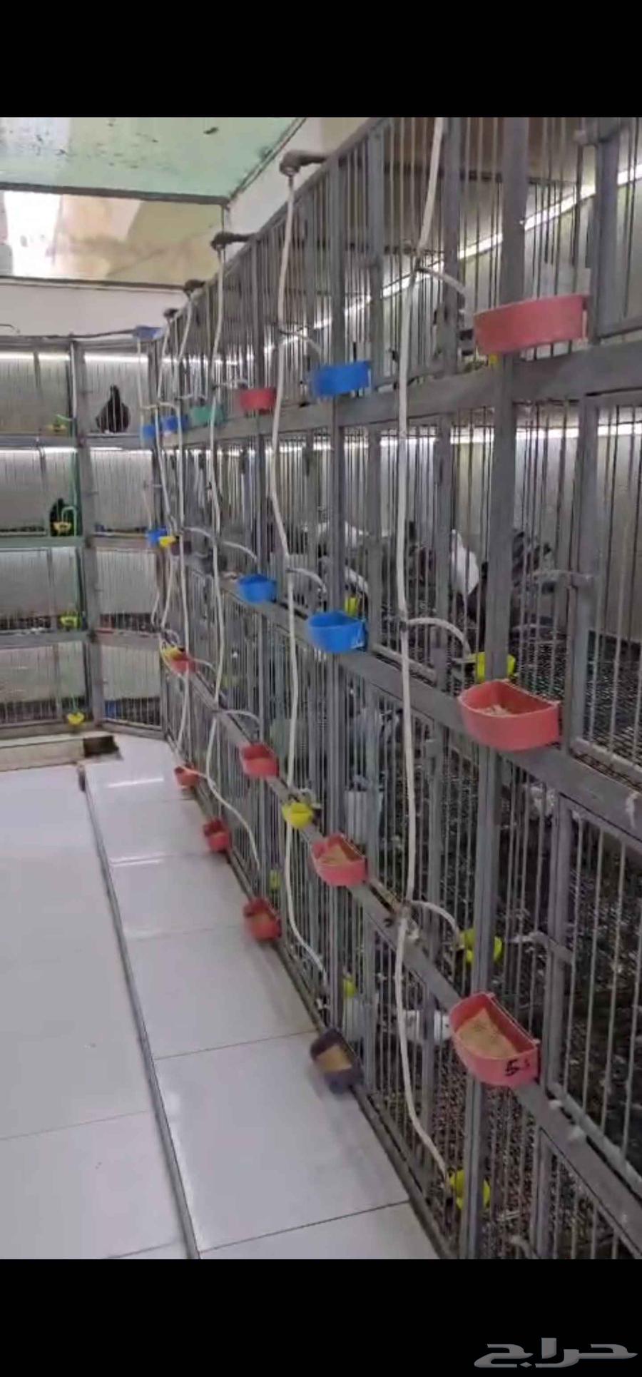 محاكر حديد للبيع مع شبوك وصاله عرض64372521517185111