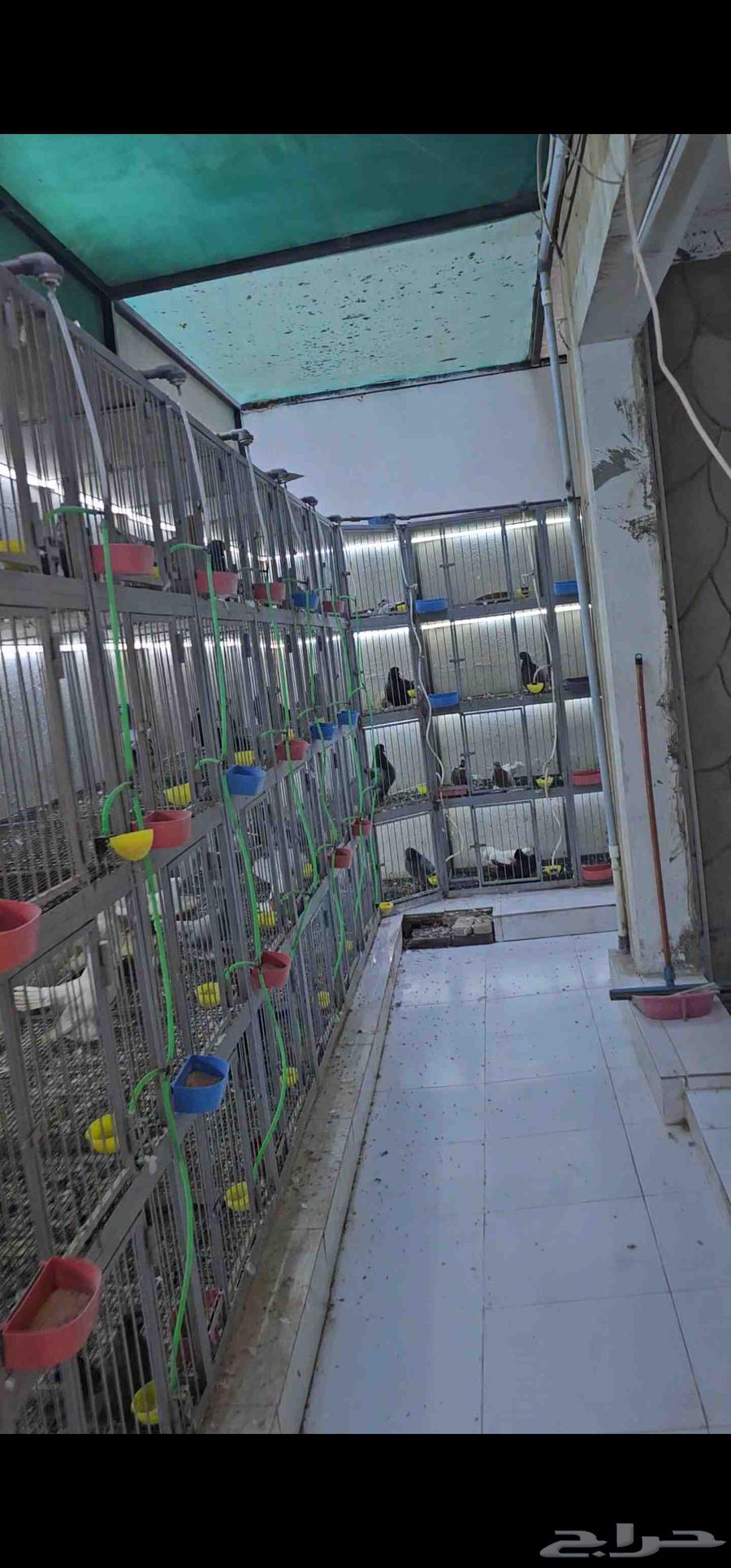 محاكر حديد للبيع مع شبوك وصاله عرض64372521517185110