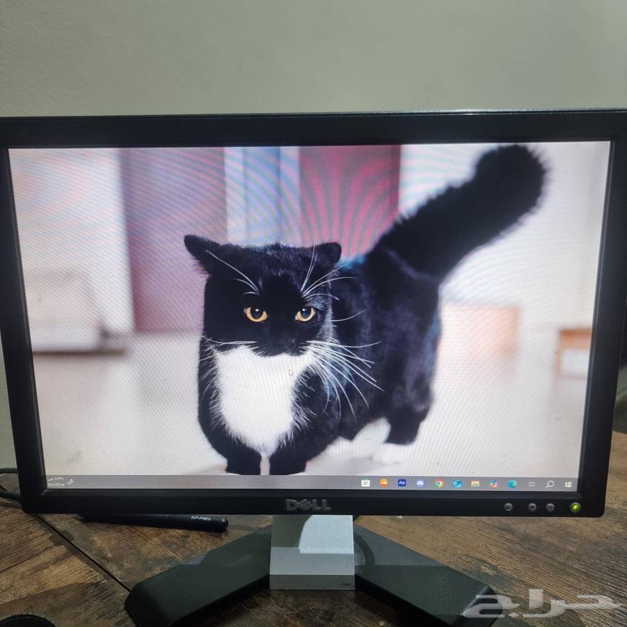 Desktop computer monitor64366761220482111