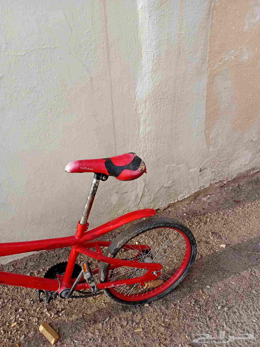 Used Cobra motorcycle for 5 months, engine broken but chain is good64371569638657112