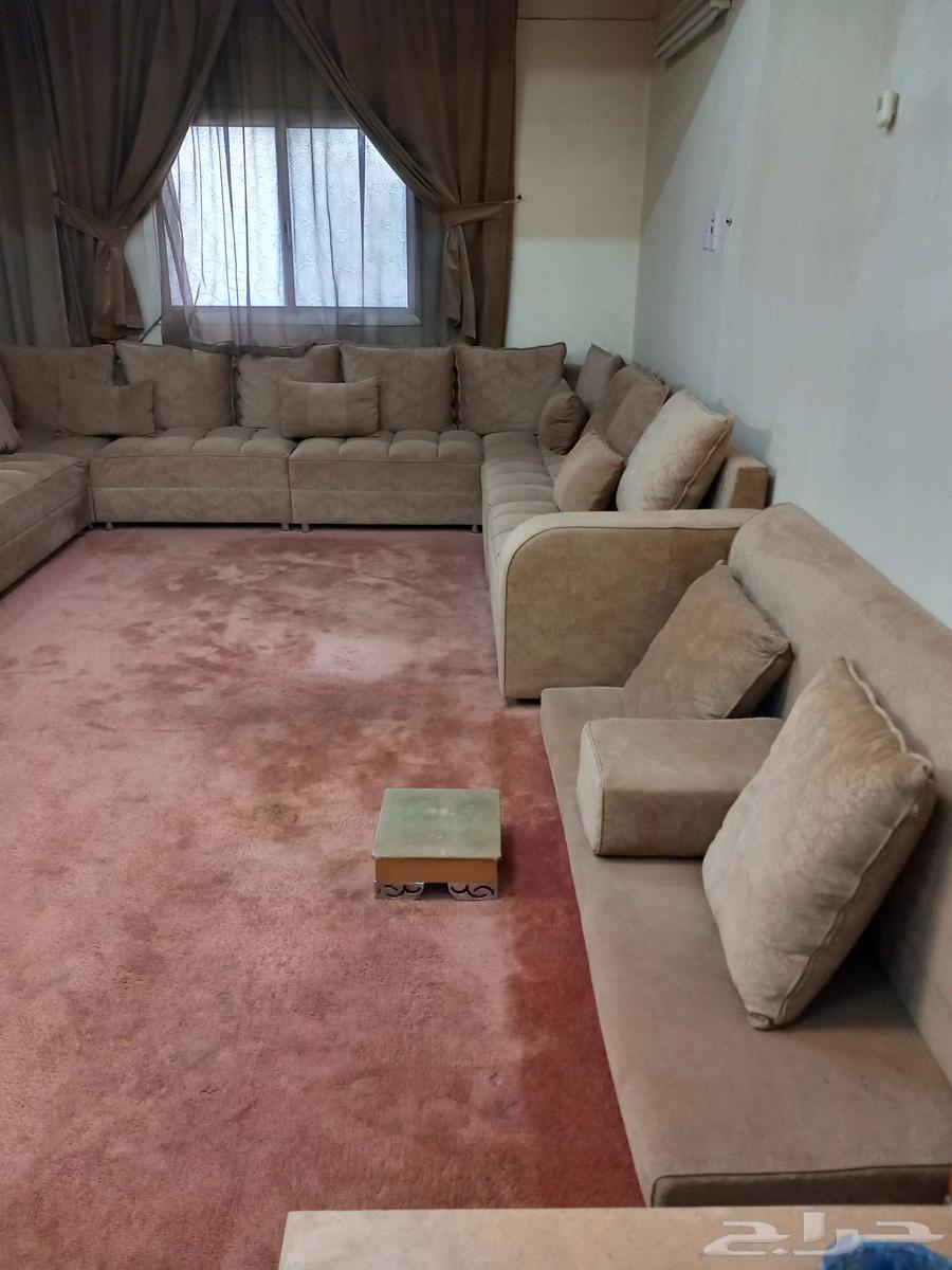 A nearly new table, free of stains and defects64371292517635111