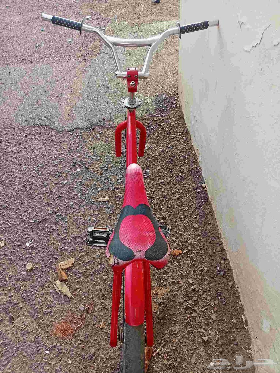 Used Cobra motorcycle for 5 months, engine broken but chain is good64371569638657113