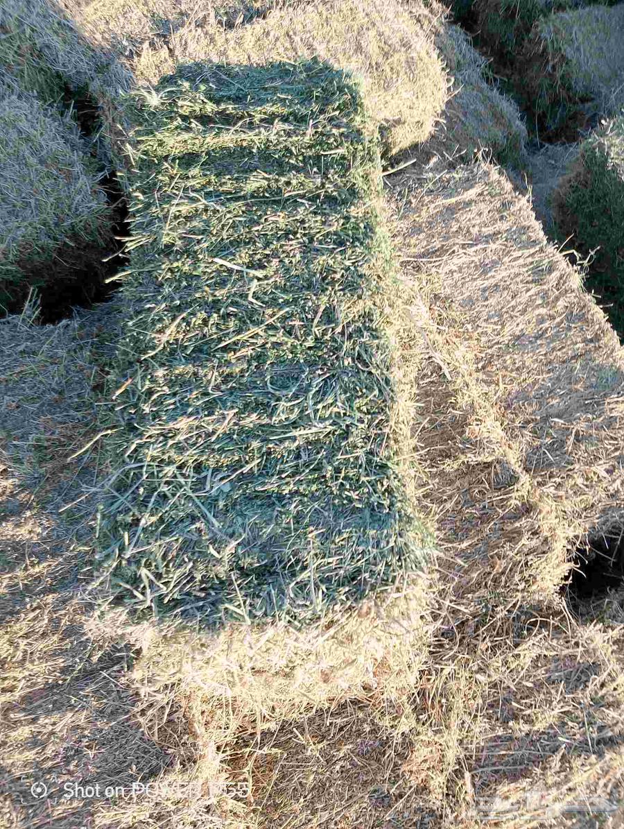 Fine mixed clover with 10% moisture and 80% clover64373477592450112