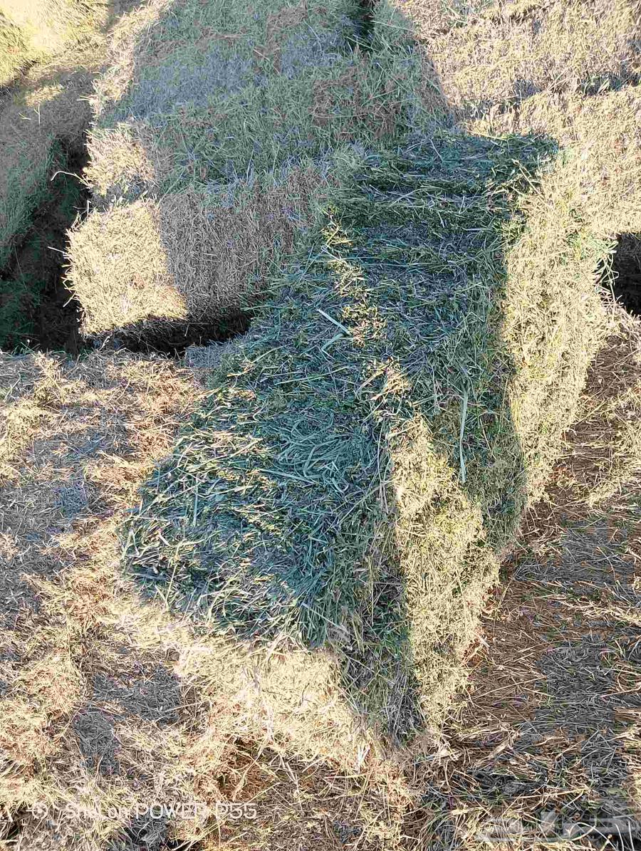 Fine mixed clover with 10% moisture and 80% clover64373477592450110