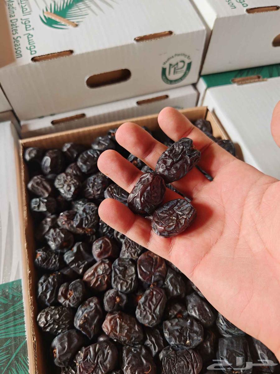 Ajwa and Safawi dates from Medina, good quantities available64372404751233111