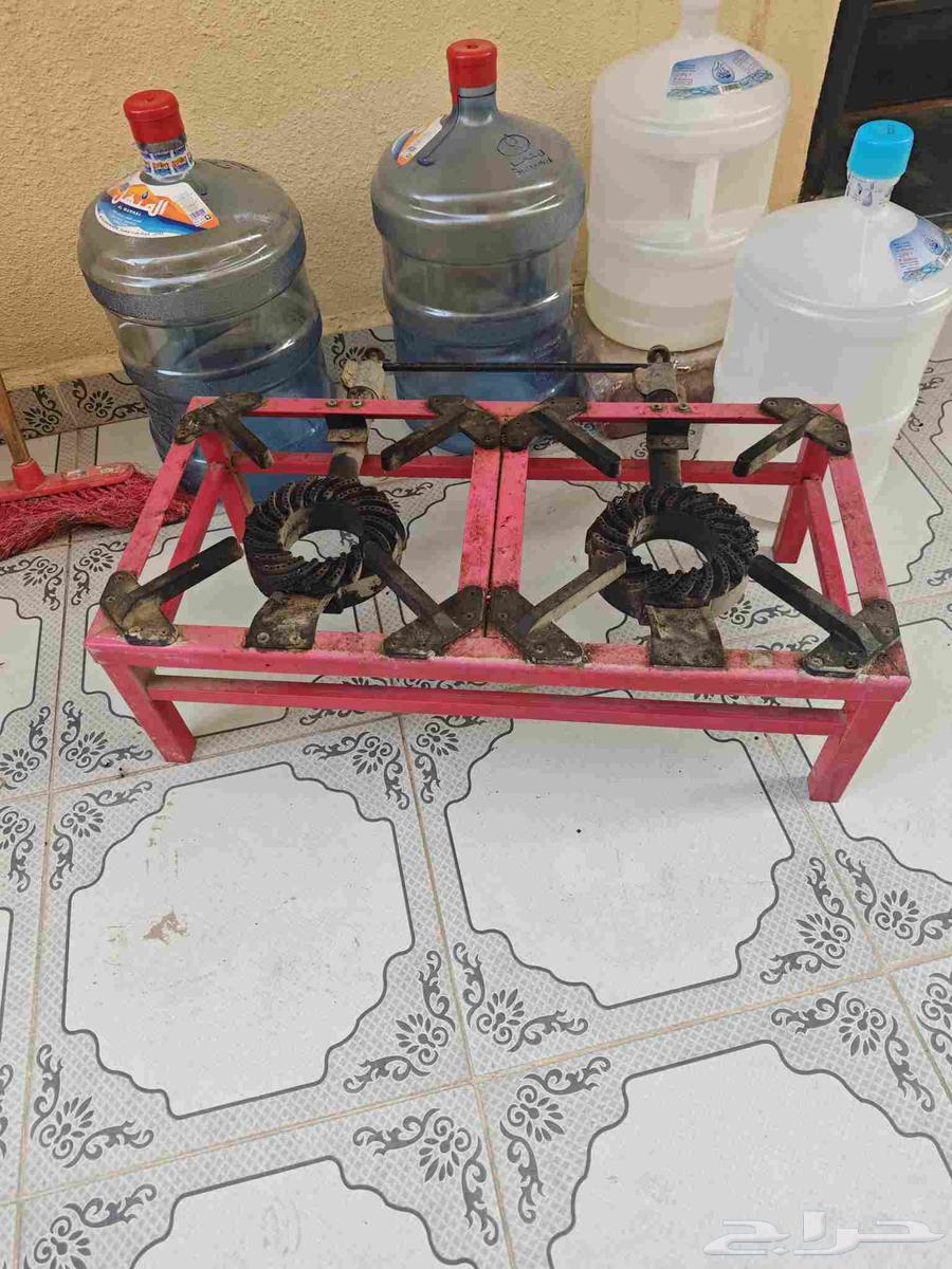 قز غاز عينين للبيع64371789069571110