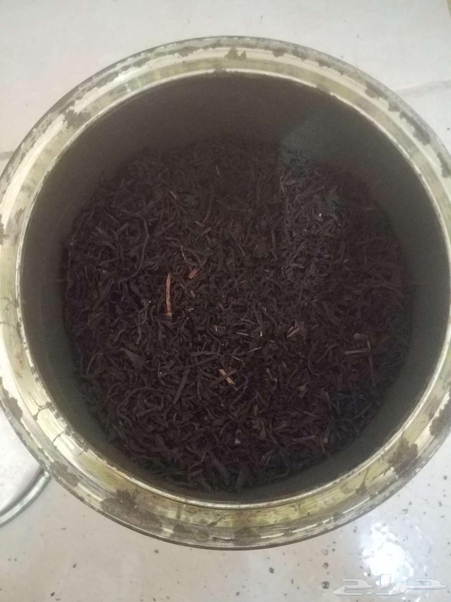 شاهي ربيع قديم64371481767939112