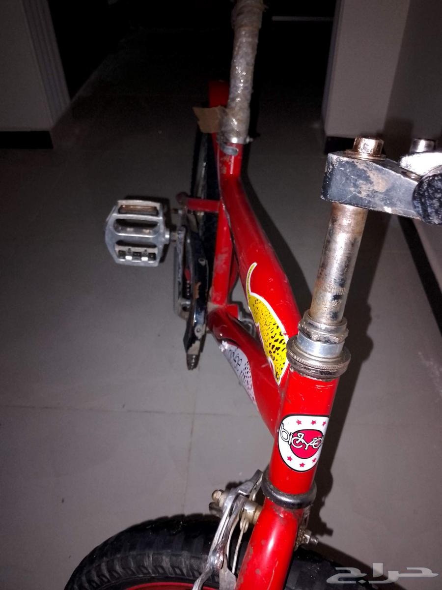 Cobra bicycle size 2064373034315139114