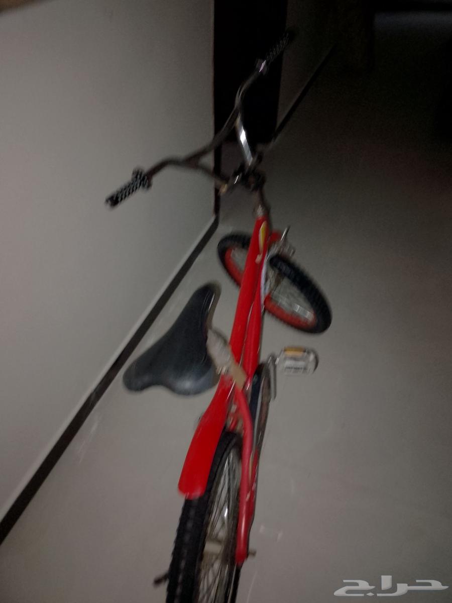 Cobra bicycle size 2064373034315139112