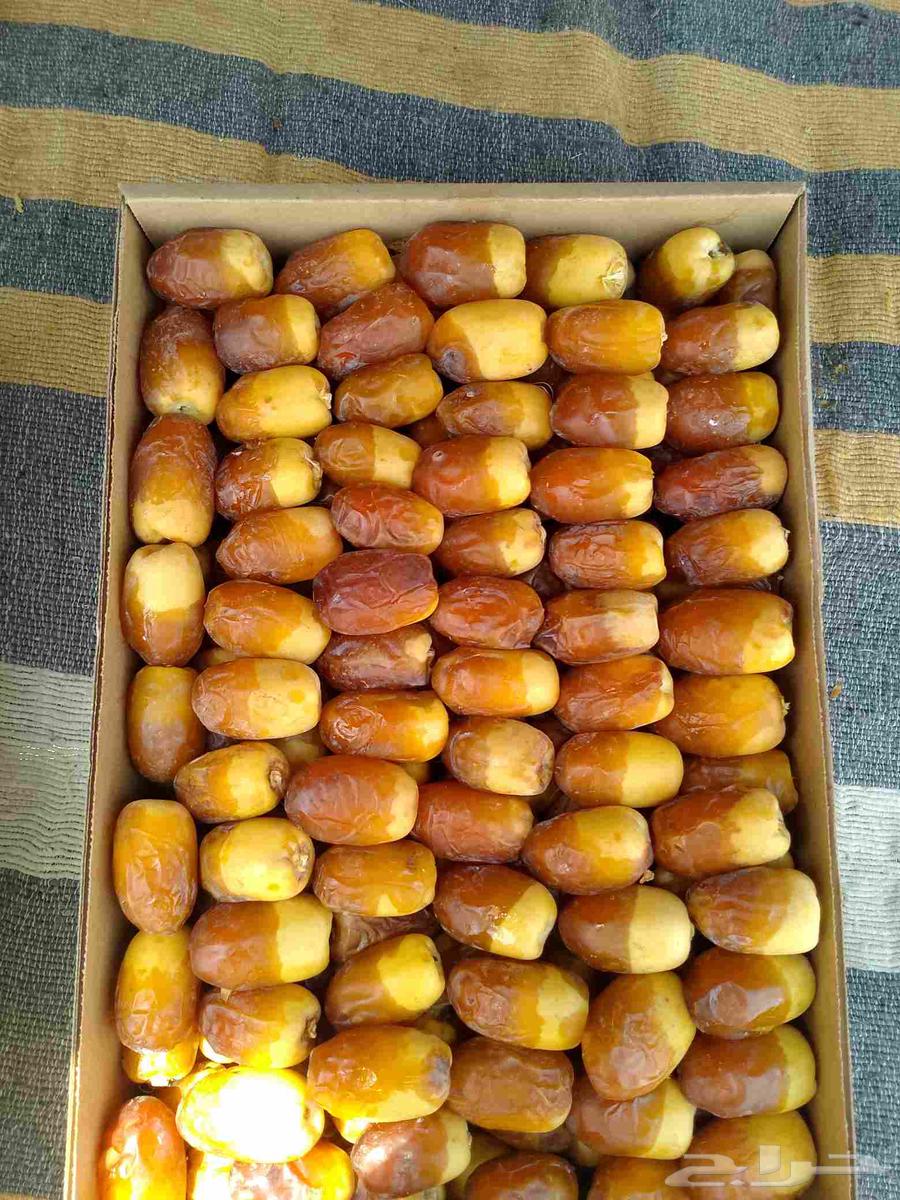 Dry meat and fresh dates64367172869890112