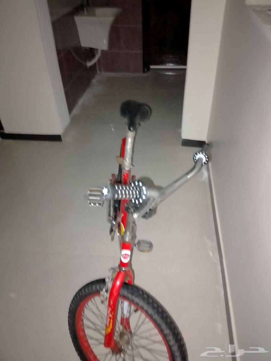 Cobra bicycle size 2064373034315139113