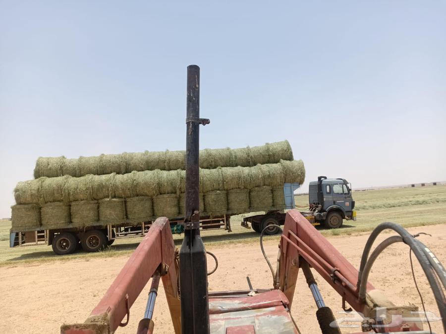 Smooth Automatic Rhodes Rolls64373019510530111