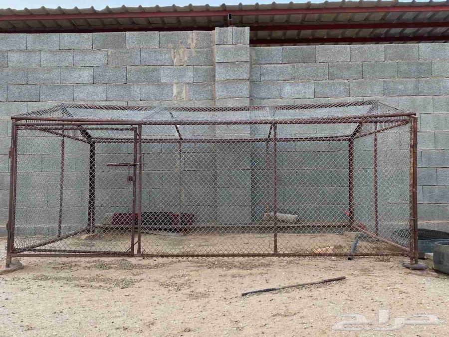 للبيع شبك غرفة 3ف264372915767426111