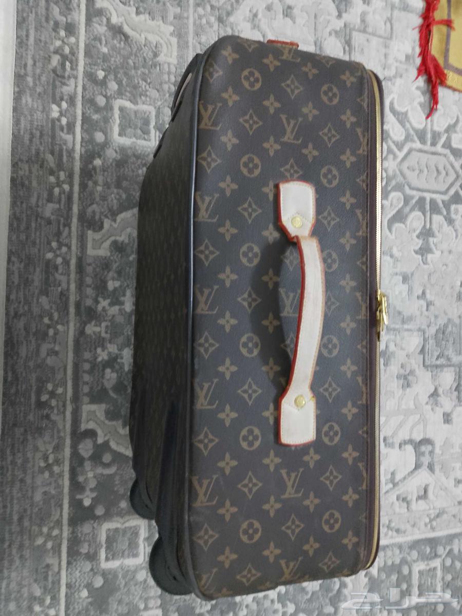 شنته ليفيتون64374539594242113