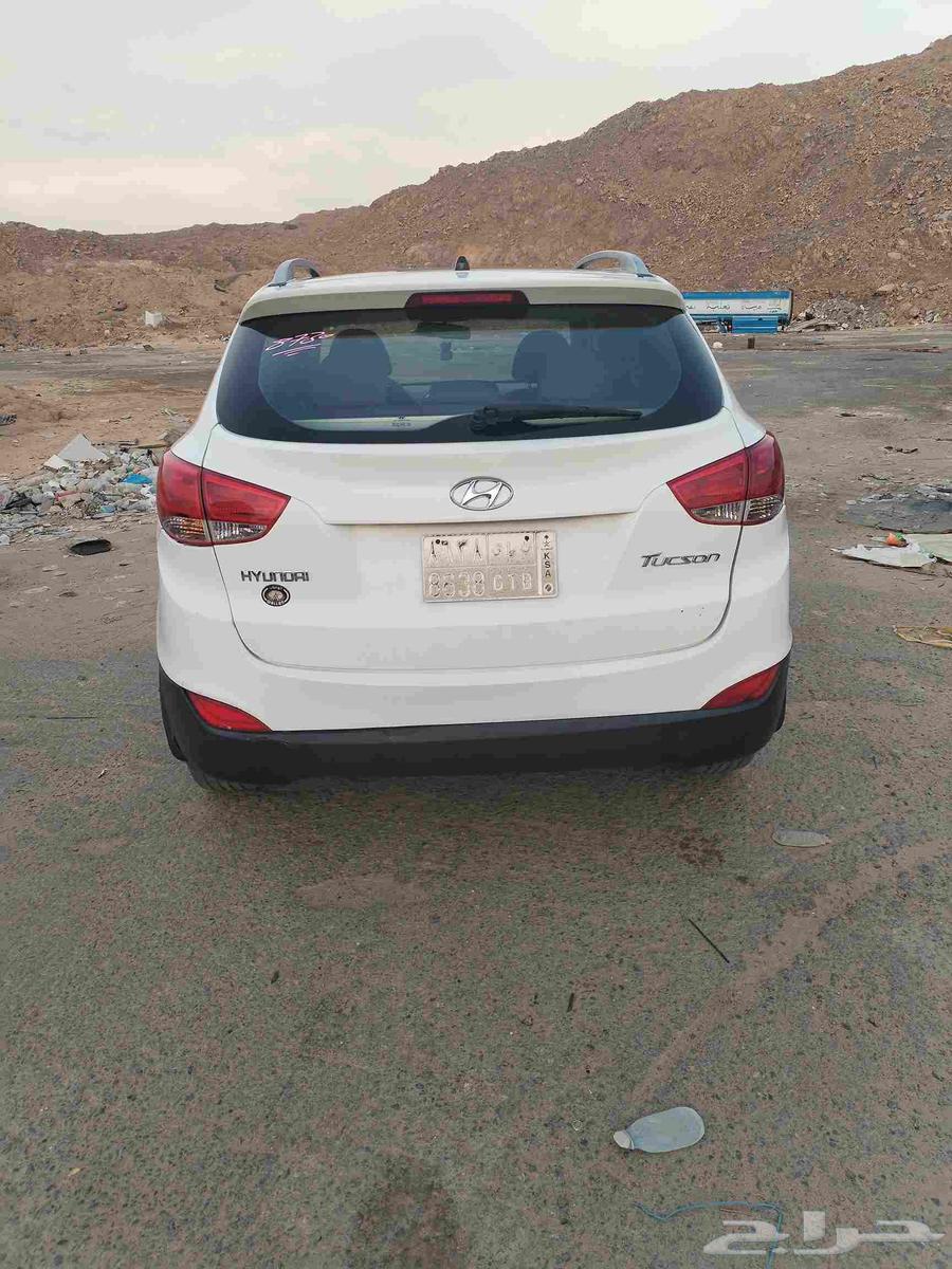 Tousan64516568374019113