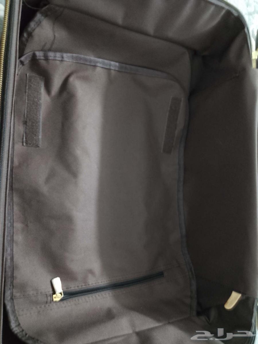 شنته ليفيتون64374539594242114