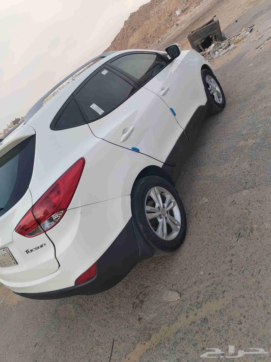 Tousan64516568374019111