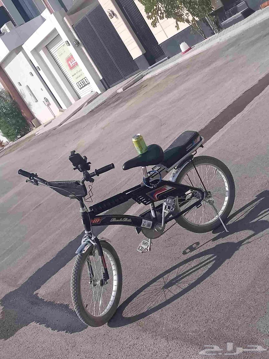 سيكل رامبو اندنوسي اصلي64366659052163112