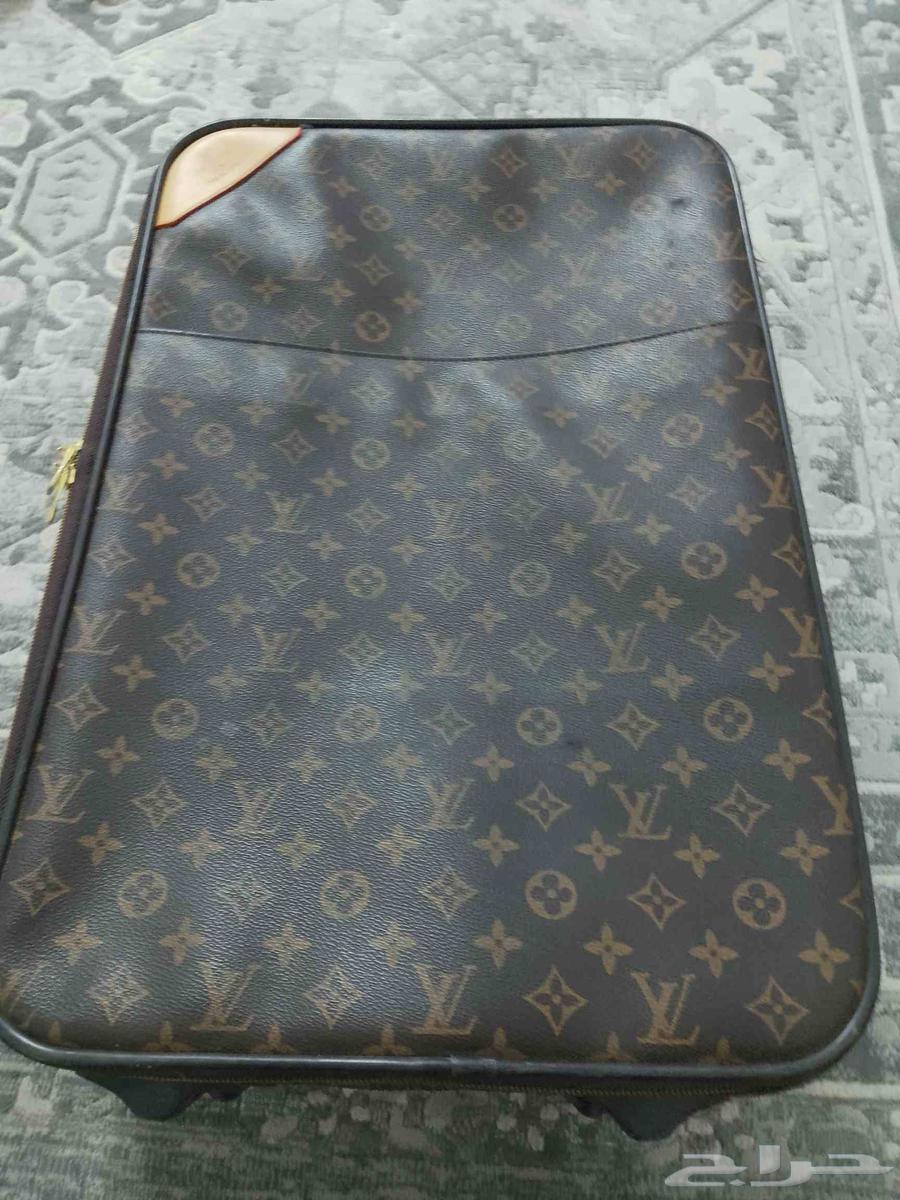 شنته ليفيتون64374539594242110