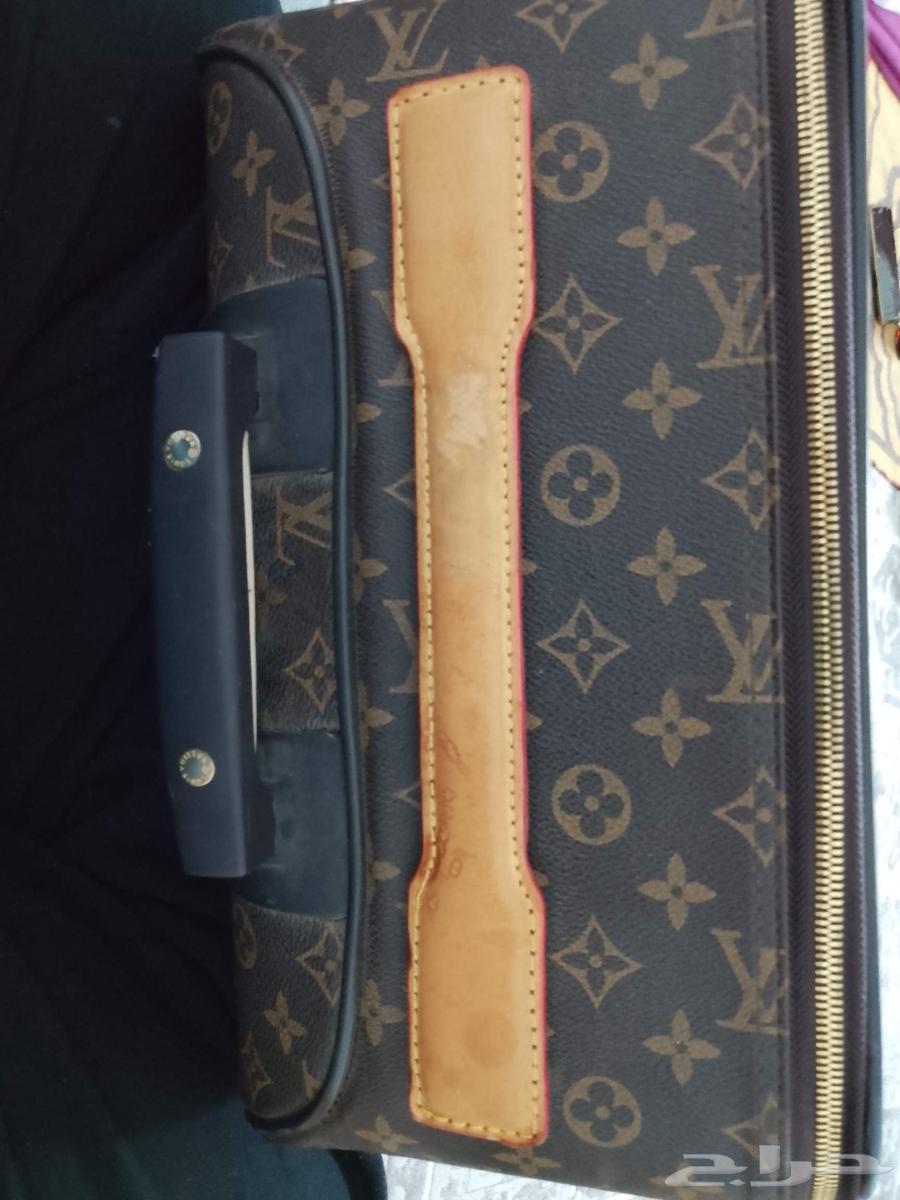 شنته ليفيتون64374539594242112