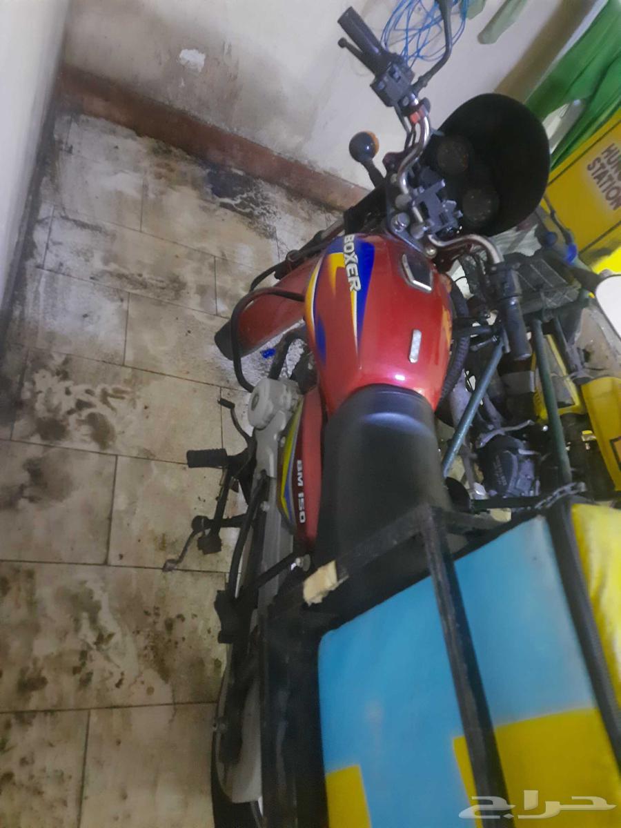 باجاج باكسر 150 سي سي بحالة جيدة64511689354755113
