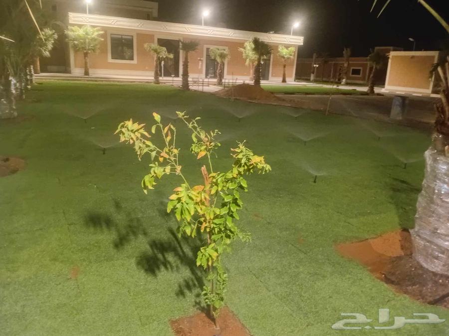 ثيل سي 2000 صافي وطبيعي درجة اوله يوجد تركيب وتوريد داخل الر64365159097602110