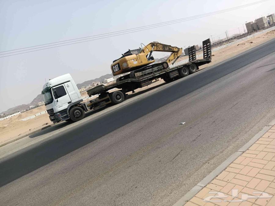 لوبد وسط متواجد بوادي الدواسر بسليل64510196559235112