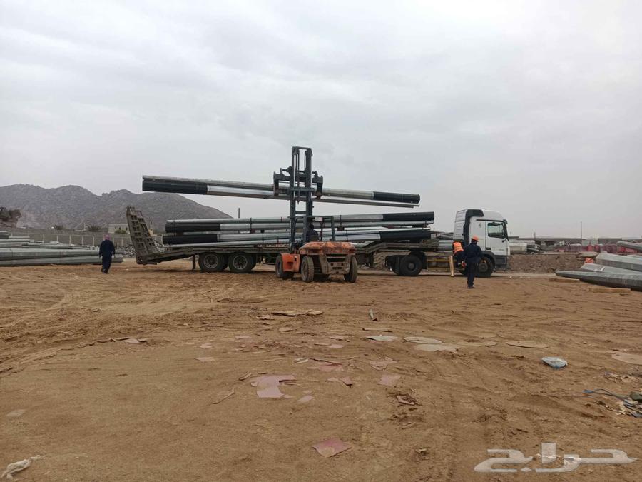 لوبد وسط متواجد بوادي الدواسر بسليل64510196559235111