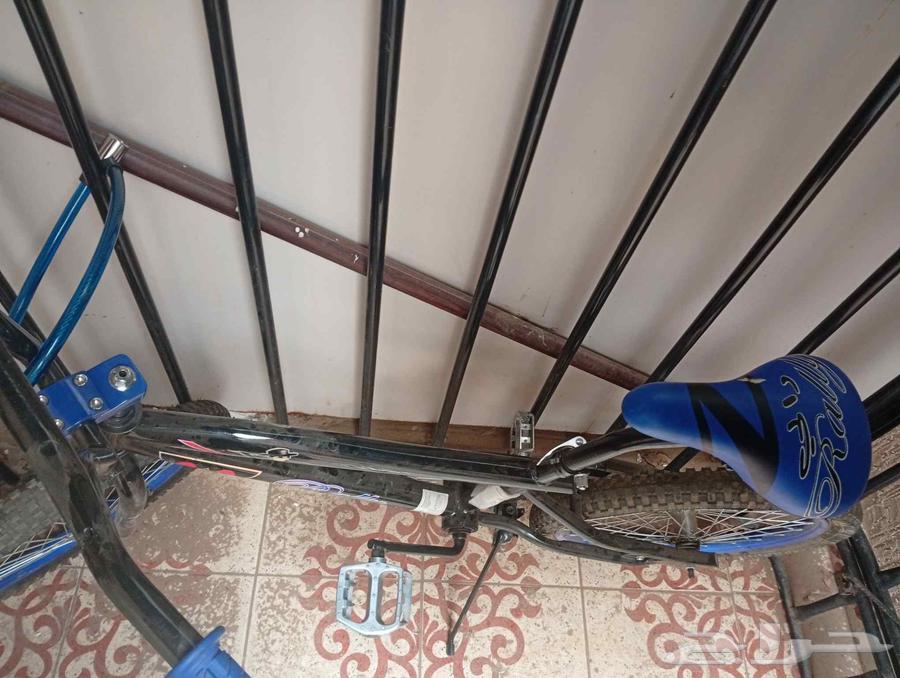 Cobra bicycle for sale, condition is new64372112429057111