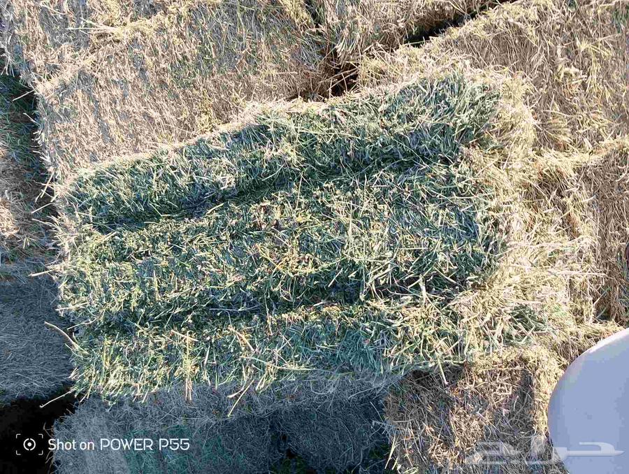 Fine mixed clover with 10% moisture and 80% clover64373477592450113