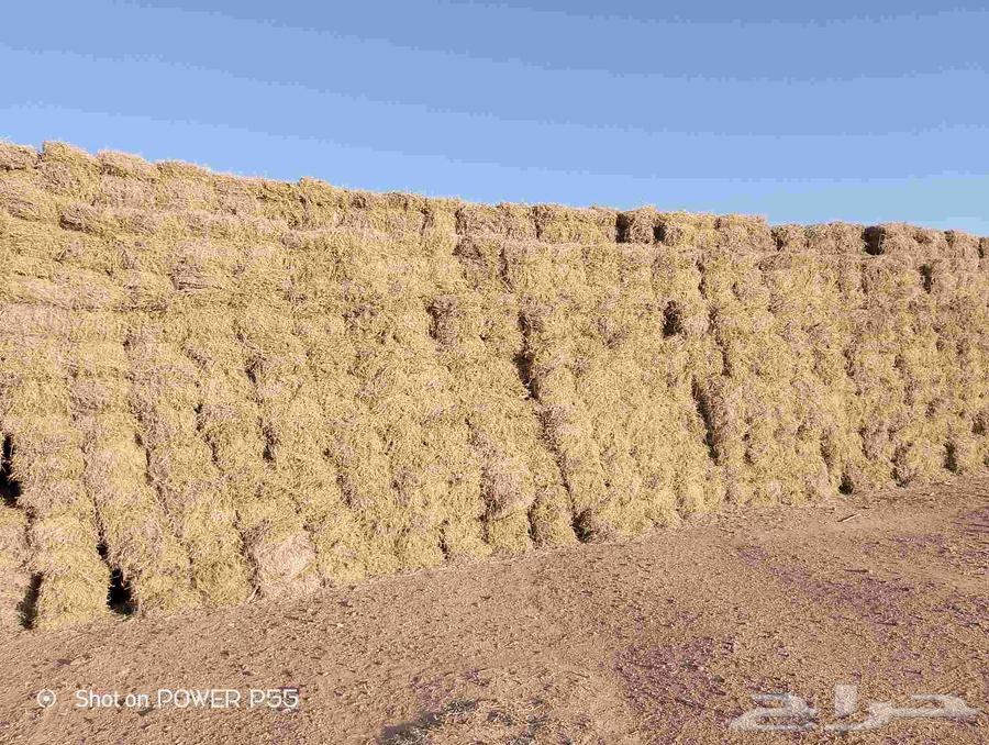 Fine mixed clover with 10% moisture and 80% clover64373477592450111