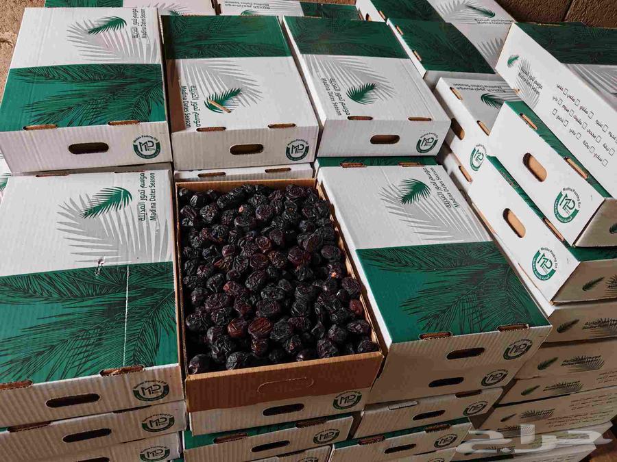 Ajwa and Safawi dates from Medina, good quantities available64372404751233112