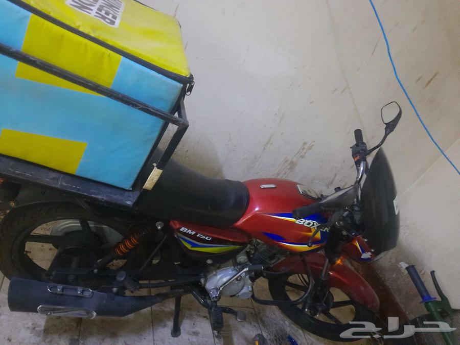 باجاج باكسر 150 سي سي بحالة جيدة64511689354755114