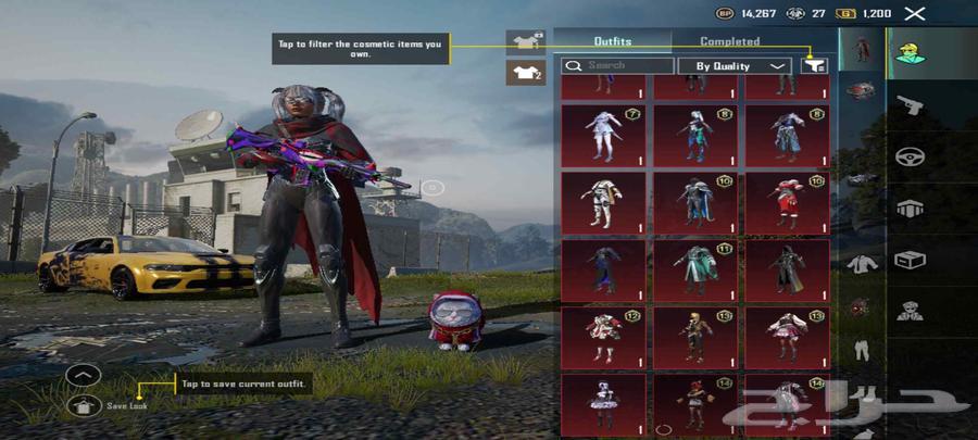 PUBG Account with Unique Features64373817095297113