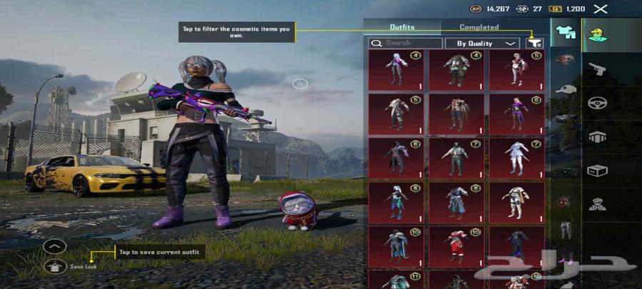 PUBG Account with Unique Features64373817095297112