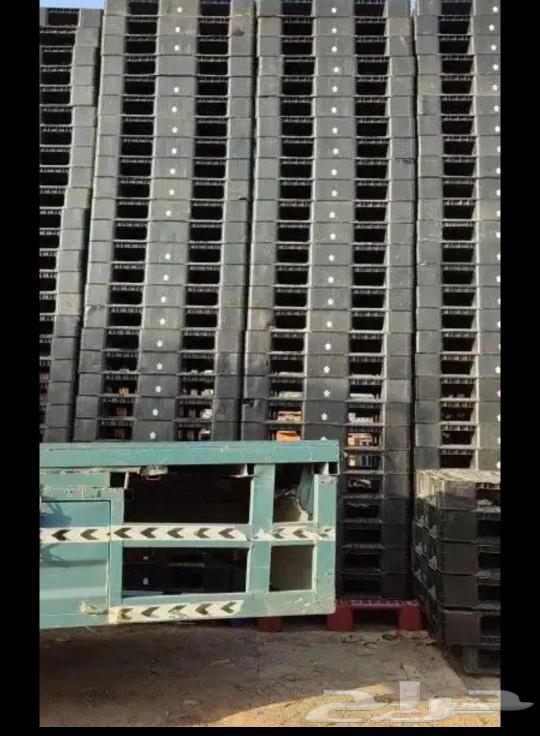 رفوف سوابر ماركت باقل الاسعار لدين64376318816386113