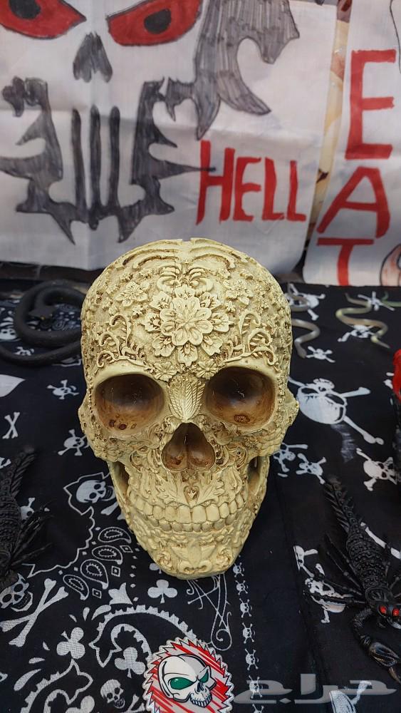 تحف على شكل جماجم للبيع64372097478659110