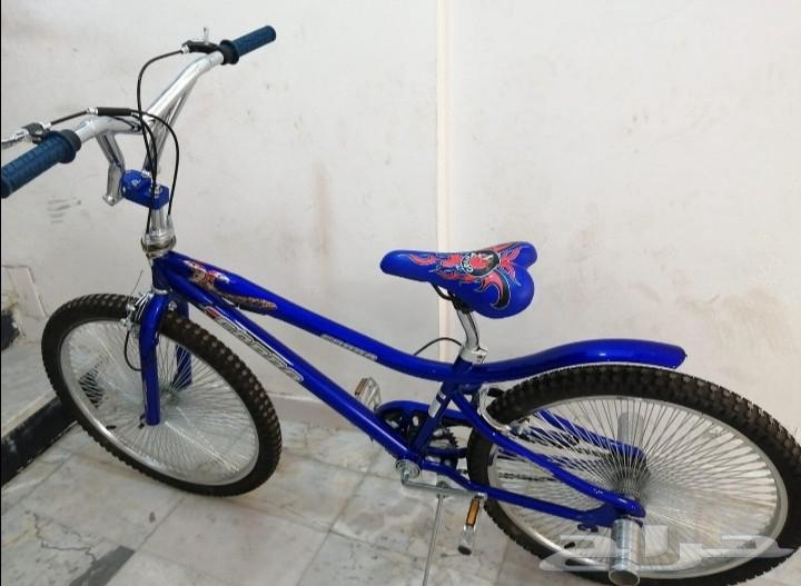 دراجة كوبرا مقاس 24 نظيفة ولم تستخدم64372067512321110