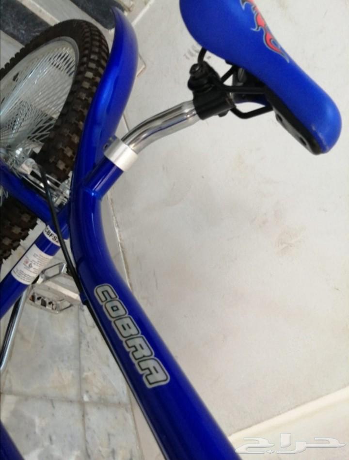 دراجة كوبرا مقاس 24 نظيفة ولم تستخدم64372067512321114