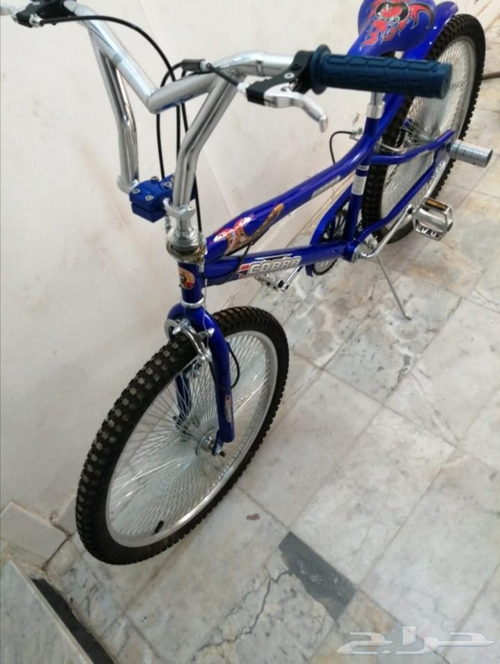 دراجة كوبرا مقاس 24 نظيفة ولم تستخدم64372067512321112