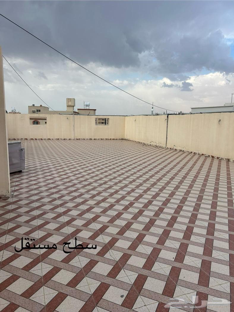 Five-bedroom apartment with rooftop for rent63613594862595110