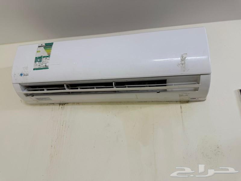 8 اسبلت للبيع نوع ماندو 18 وحده64374583613187110