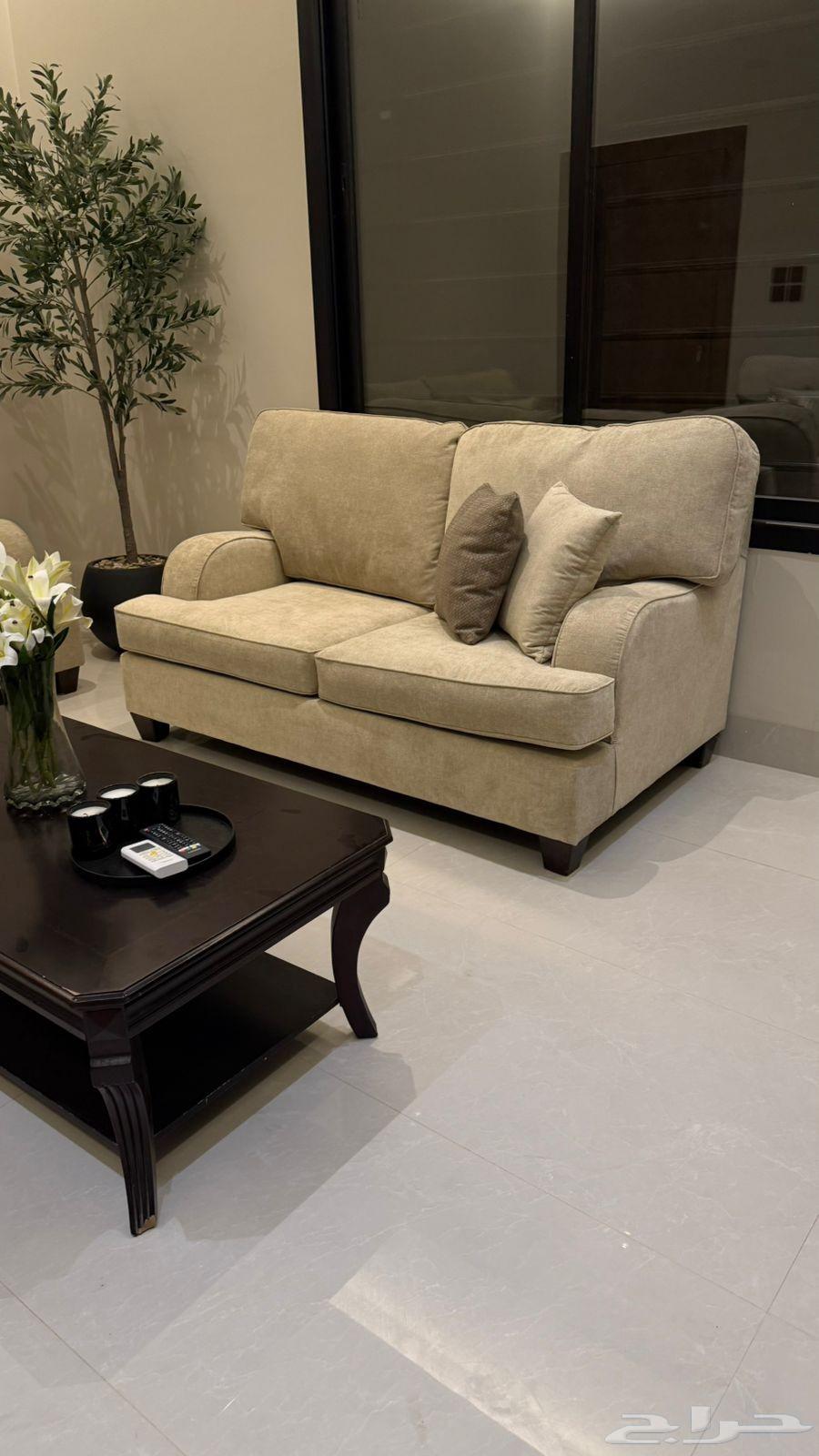 كنب امريكي64370511318658113