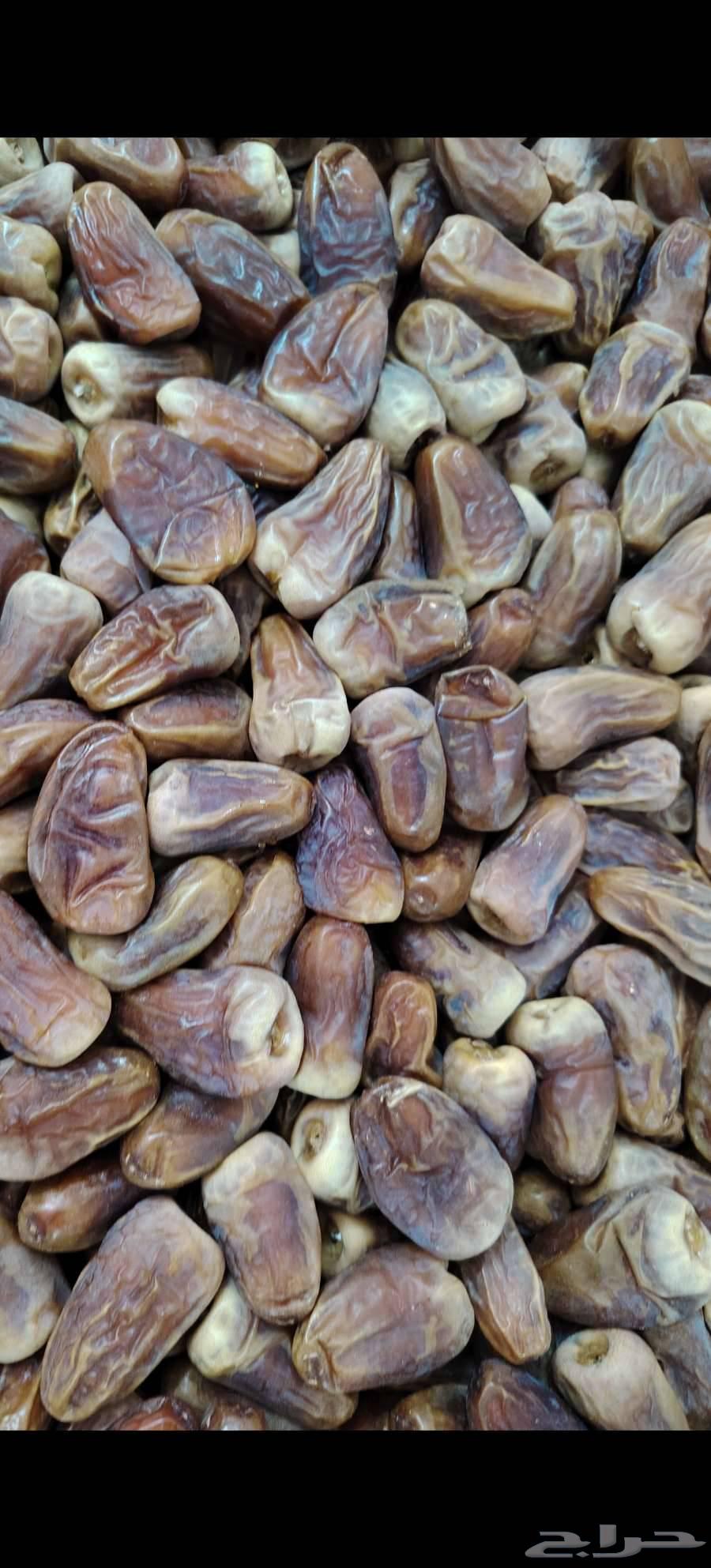 Tamr Burni64366380668547110