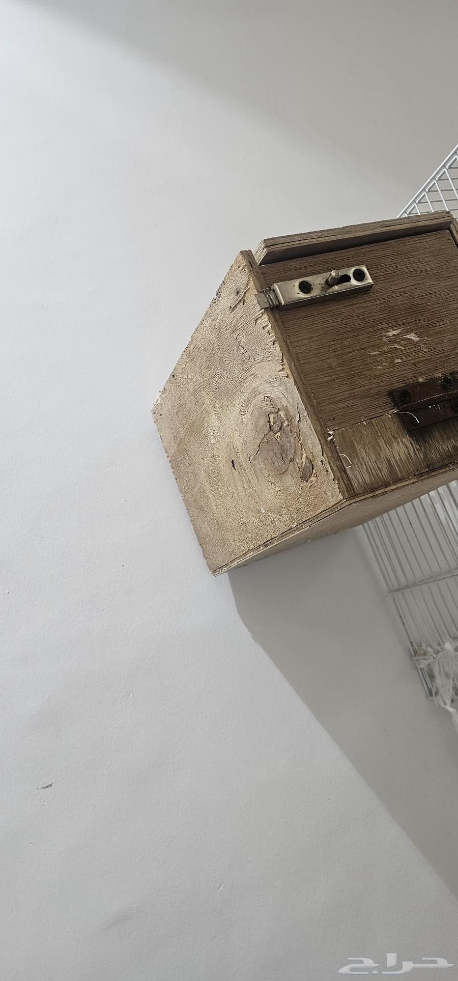 My husband of the day is ready64369193209603113