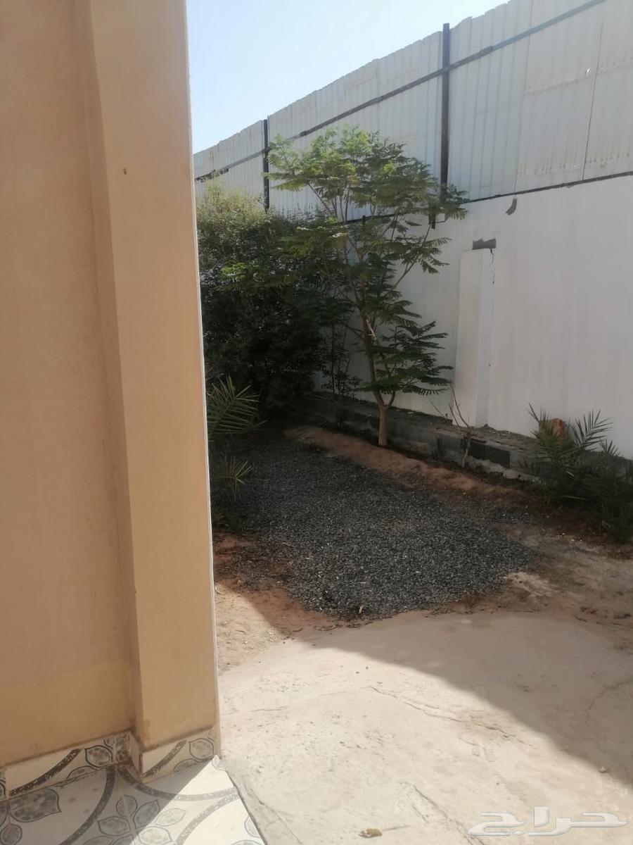 ستراحه حوش كبير للا يجار63613866533889114