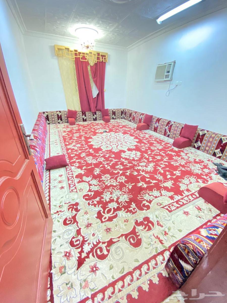 سجاد للبيع64364758121217110