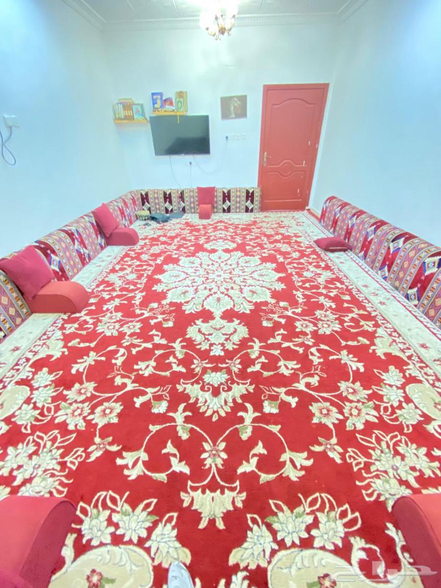 سجاد للبيع64364758121217113