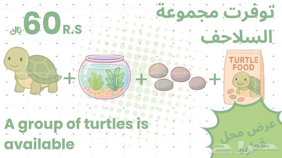 مجموعة سلاحف مجهزة للبيع63859172656771110